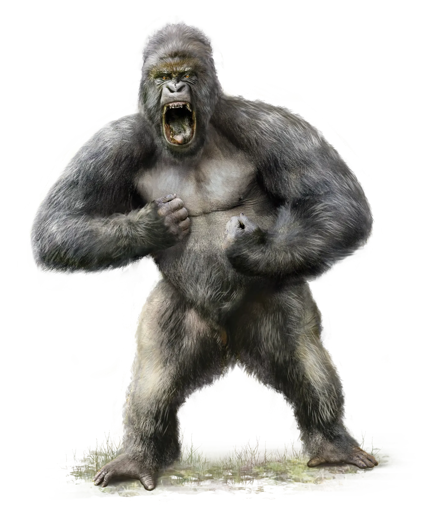 PF2e/zz_asset-files/modules/pf2e-tokens-bestiaries/portraits/bestial/mammalian/gorilla.webpGorilla400