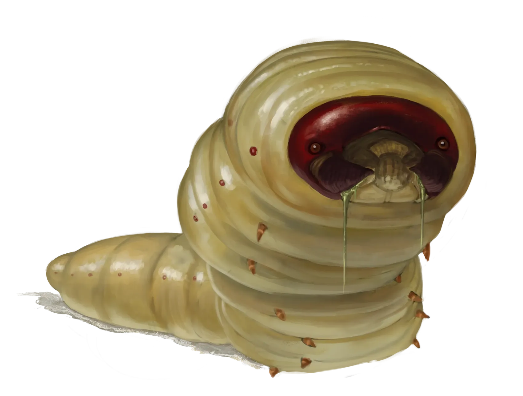 maggot-giant.png|450